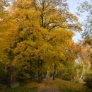 CHOSZCZNO-jesienny widok - panoramio (3)
